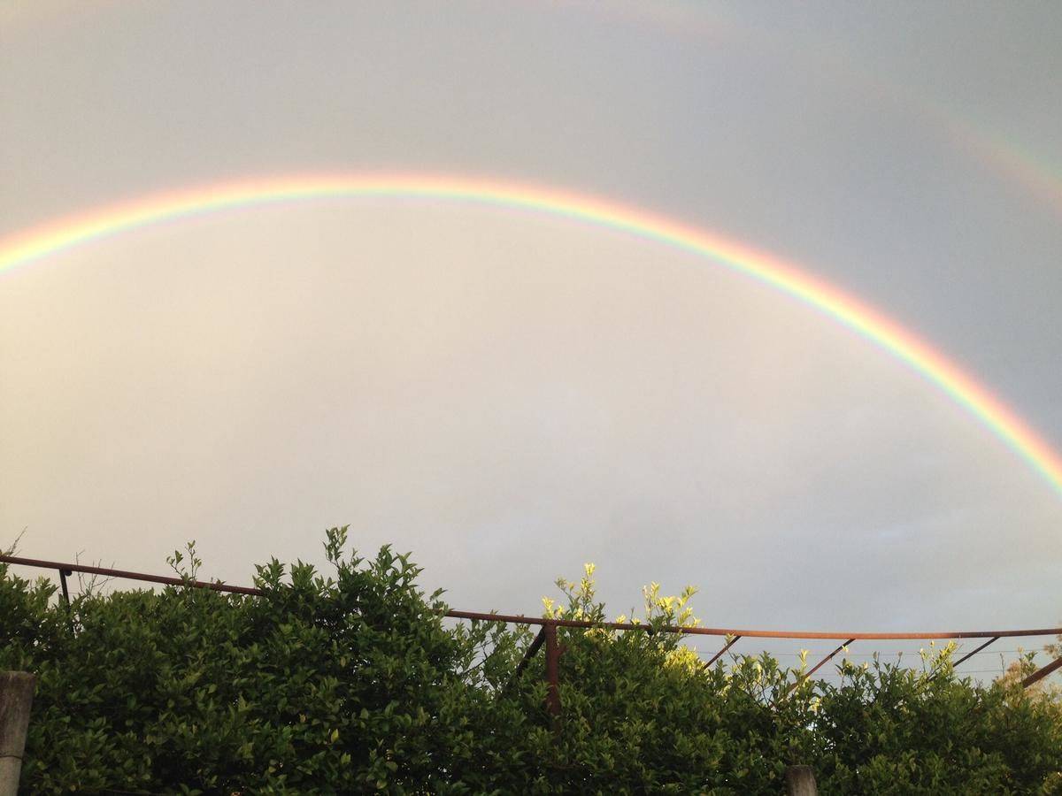 Фото Гостевого дома Гостевой дом Мария Цандрыпш 35